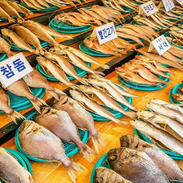 10 Best Traditional Markets In Korea For Food And Shopping 18 Fish for sale in Jagalchi Fish Market