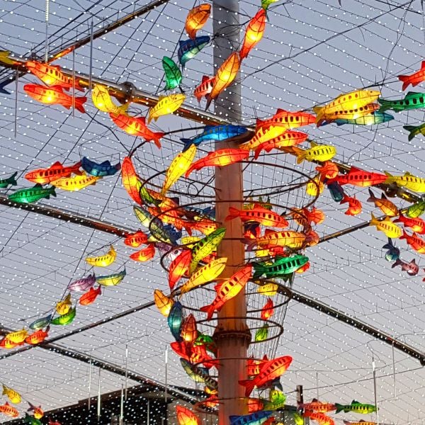 Hwacheon Sancheoneo Ice Festival 2024: Korean Ice Fishing Fun 13 Fish shaped illuminations