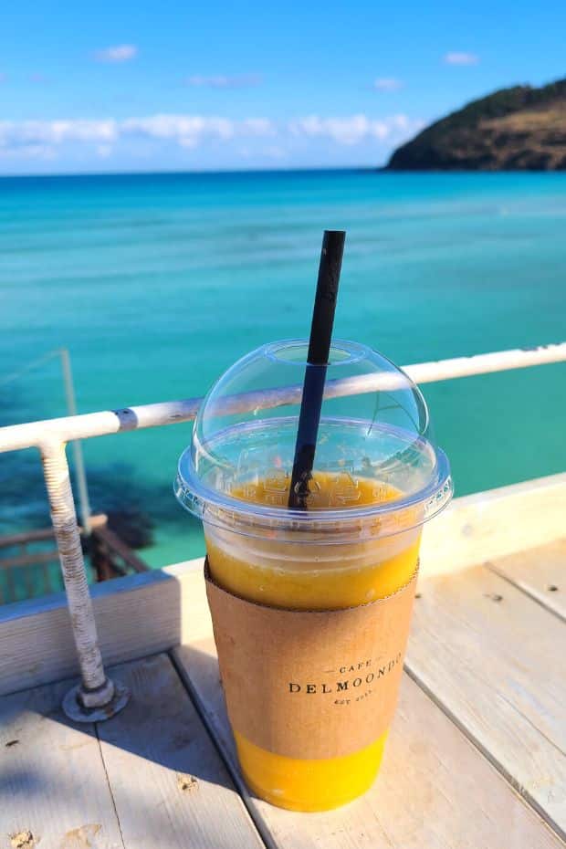 What To Do On Jeju Island In Winter: Jeju Winter Itinerary 2024 14 Fruit smoothie overlooking the sea at Hamdeok Beach