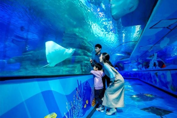 Fun indoor activities in Busan Fun indoor activities in Busan