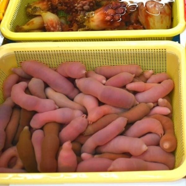Weird Korean Foods: 15 Unique Korean Dishes You Might Love 9 Gaebul live spoon worms in Korea