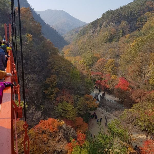 Gangcheonsan County Park Autumn Leaves Korea Gangcheonsan County Park Autumn Leaves Korea