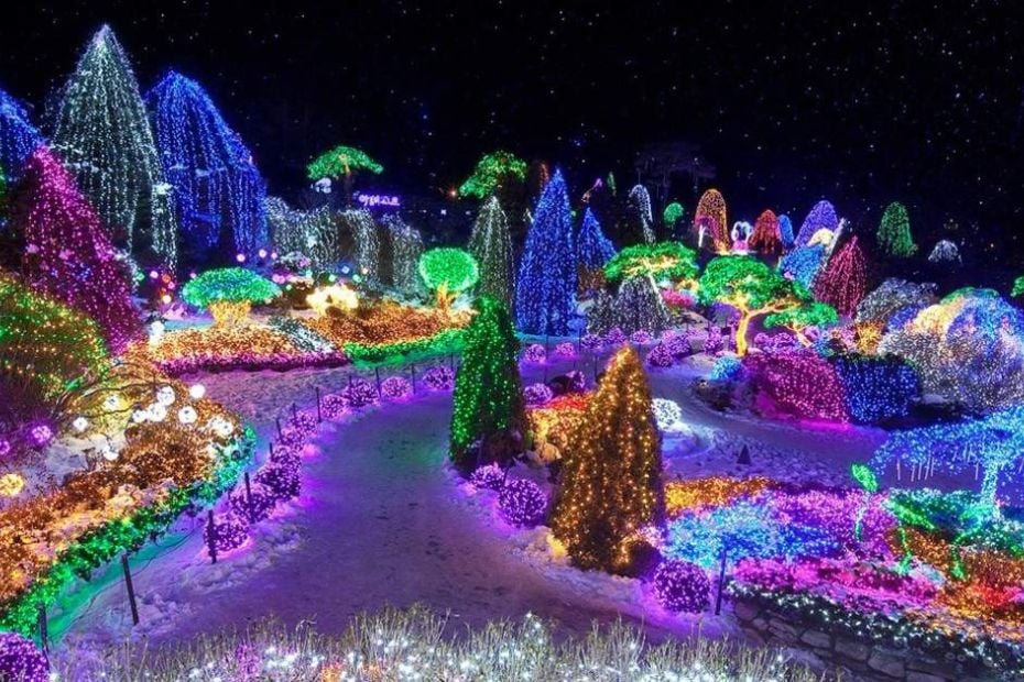 Hwacheon Sancheoneo Ice Festival 2024: Korean Ice Fishing Fun 16 Garden of Morning Calm Illuminations