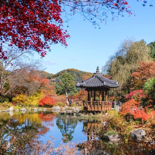 Garden of Morning Calm in autumn Garden of Morning Calm in autumn