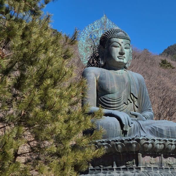 Giant Bronze Buddha In Seoraksan National Park Giant Bronze Buddha In Seoraksan National Park