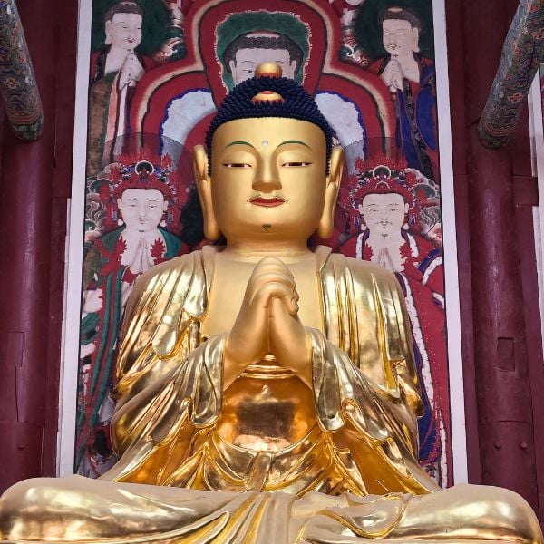 Do A Temple Stay In Korea For An Amazing Experience In 2024 22 Golden Buddha statue meditating