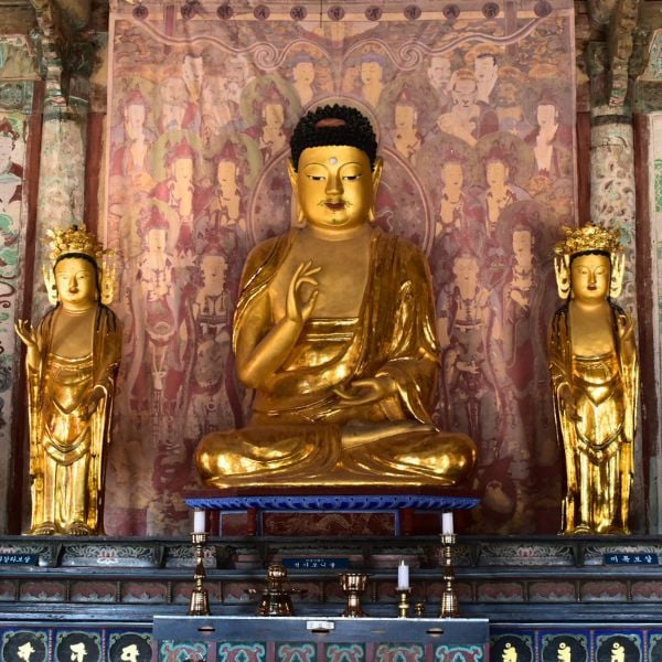 Do A Temple Stay In Korea For An Amazing Experience In 2024 7 Golden Buddha Statues inside a temple