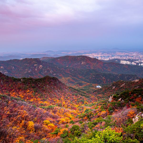 Gwanaksan Autumn Foliage Seoul Gwanaksan Autumn Foliage Seoul