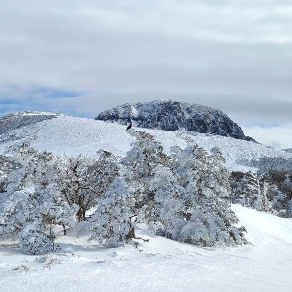 A Guide To Winter In Korea 2024: 20+ Best Winter Activities 19 Hallasan Mountain On Jeju Island Korea
