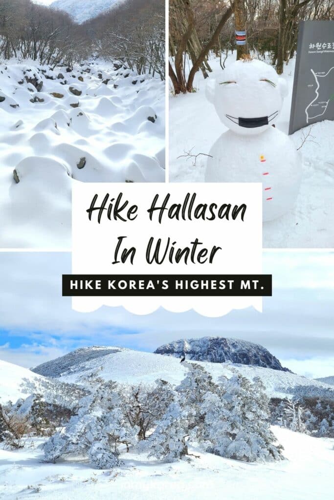 How To Hike Hallasan In Winter: Jeju Island Snow Hiking 2024 25 Hike Hallasan In Winter 1
