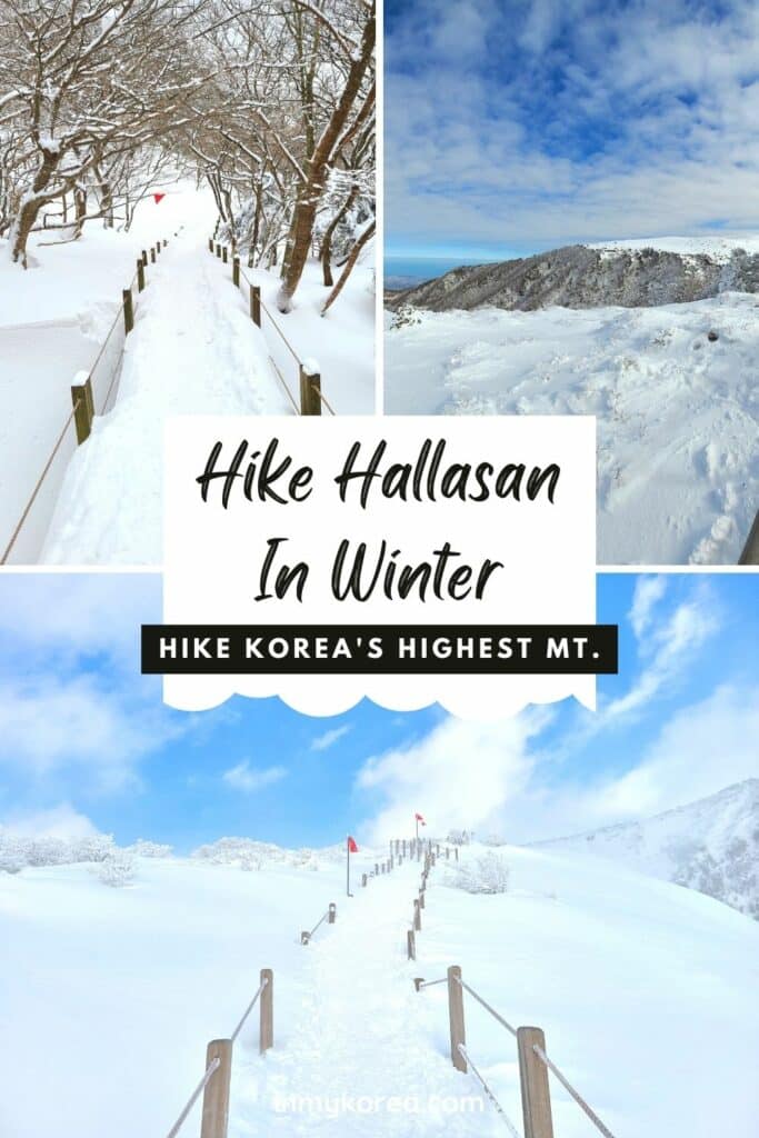 How To Hike Hallasan In Winter: Jeju Island Snow Hiking 2024 27 Hike Hallasan In Winter 3