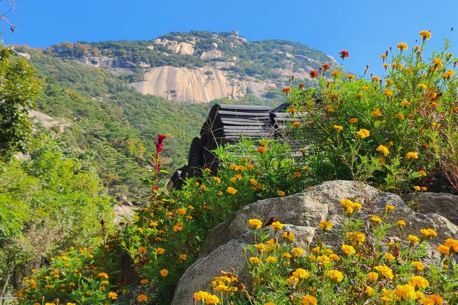 How To Hike Bukhansan Baegundae Peak: Seoul's Best Hike 2024 14 Hike To Baegundae Peak from Bukhansan Fortress Entrance