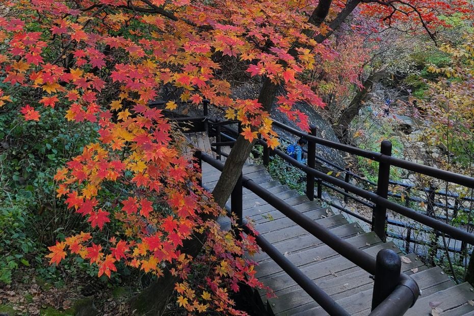 How To Hike Bukhansan Baegundae Peak: Seoul's Best Hike 2024 45 Hiking Path in Bukhansan National Park