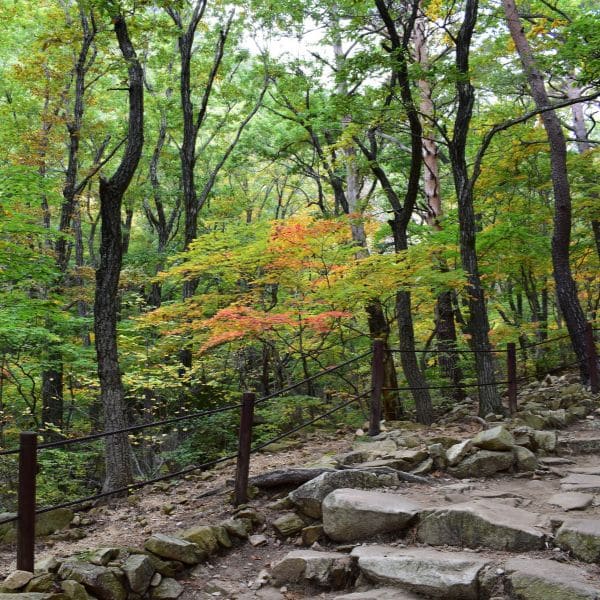 Hiking Seoraksan National Park And How To Get There 2024 37 Hiking path in Seoraksan National Park