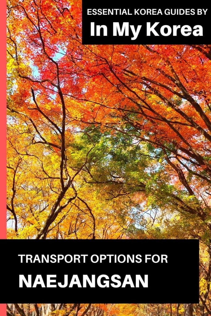 How To Go To Naejangsan National Park For Fall Foliage 2024 19 How to go to Naejangsan Nationa Park Pin 1