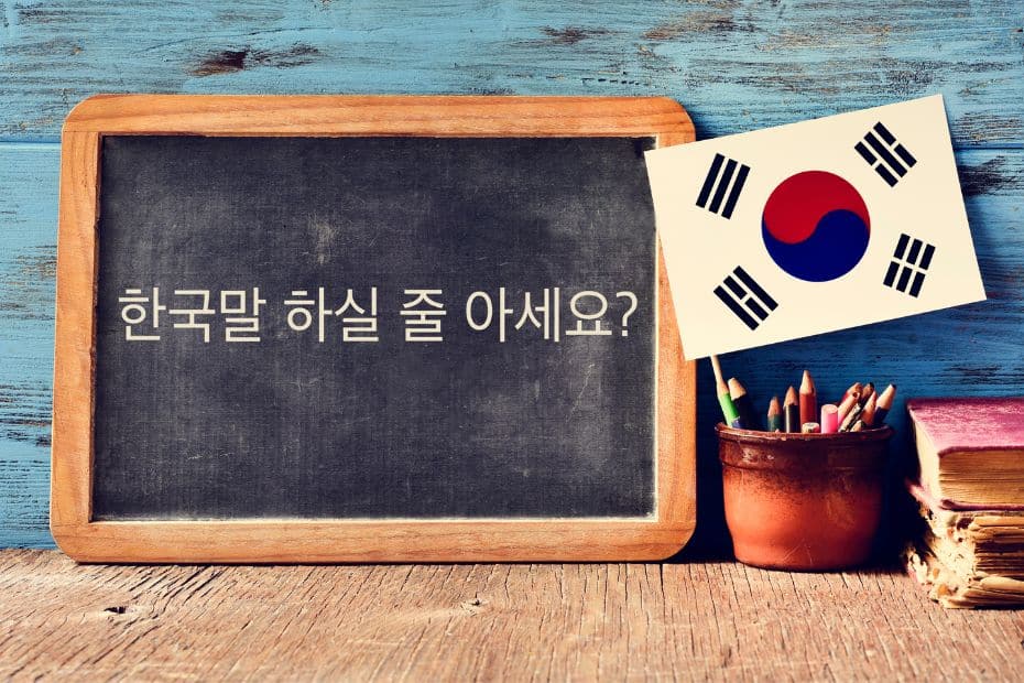 How To Use The Papago App To Translate Korean To English 4 How To Use Papago To Translate Korean When Travelling Korea