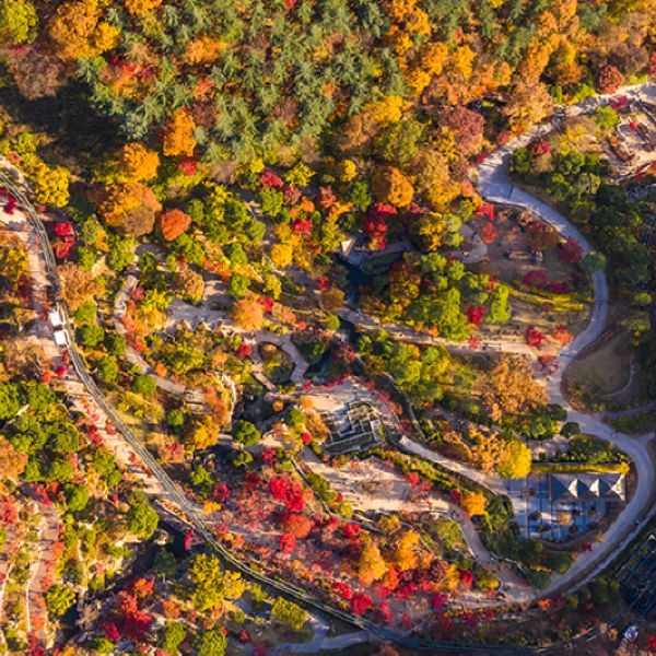 Hwadam Botanic Garden in Autumn Korea Hwadam Botanic Garden in Autumn Korea