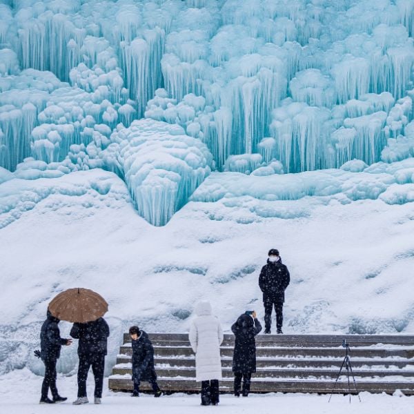 Is The Chilgapsan Ice Fountain Festival 2024 Worth Visiting? 7 Ice Wall At Alps Village Cheongyang