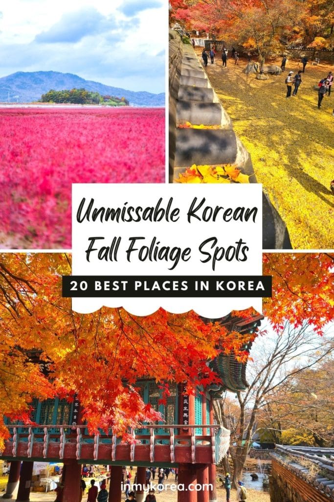 Autumn Leaves In Korea 2024: Best Korean Autumn Foliage Spots 14 Where to see autumn leaves in Korea Pin 2