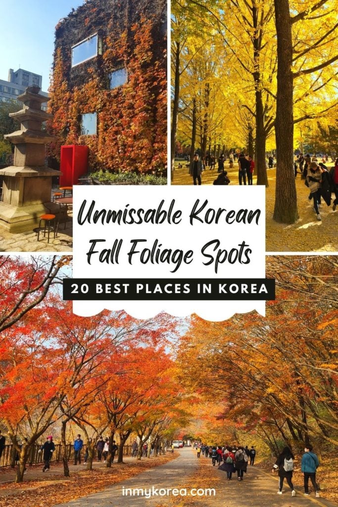Autumn Leaves In Korea 2024: Best Korean Autumn Foliage Spots 13 Where to see autumn leaves in Korea Pin 1