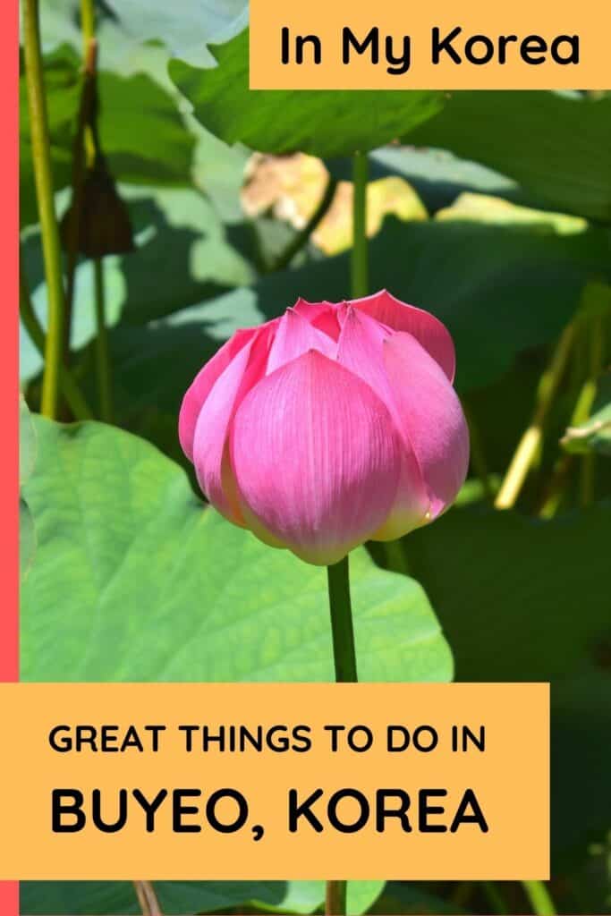 10 Things To Do In Buyeo 2024: UNESCO World Heritage City 43 In My Korea Pin Picture 5