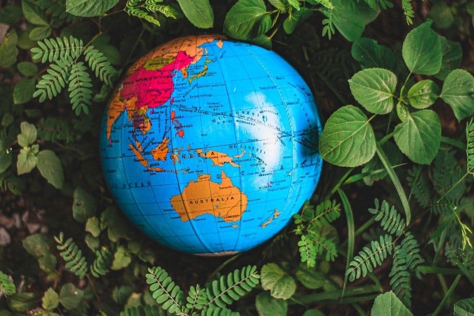 How Many Foreigners In Korea Are There? 2024 Updated Stats 5 Inflatable globe among leaves