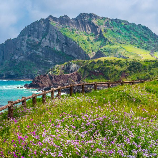 Complete South Korea Travel Guide 2024: Korean Travel Tips 59 Jeju Islands famous attraction Seongsan Ilchulbong