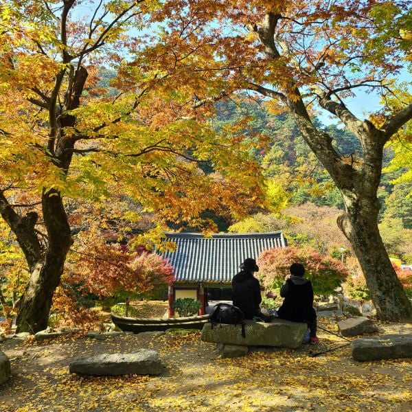 10 Best National Parks In Korea To Visit For Beautiful Views 27 Jeungsimsa Temple in Mudeungsan National Park