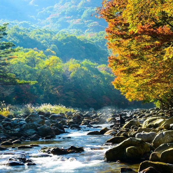 Jirisan National Park in Autumn Korea Jirisan National Park in Autumn Korea
