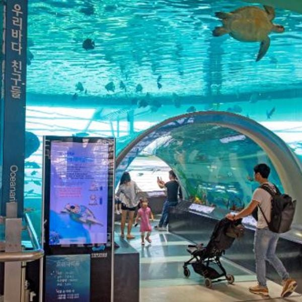 Korea National Maritime Museum Korea National Maritime Museum
