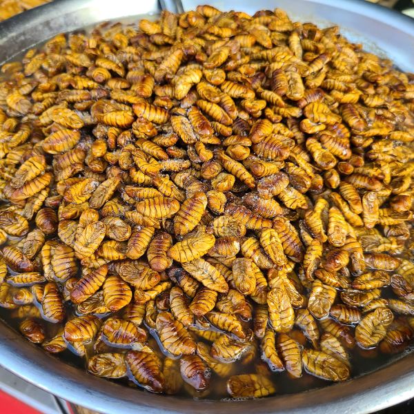 Korean Beondegi Silkworm Pupae Snack Korean Beondegi Silkworm Pupae Snack