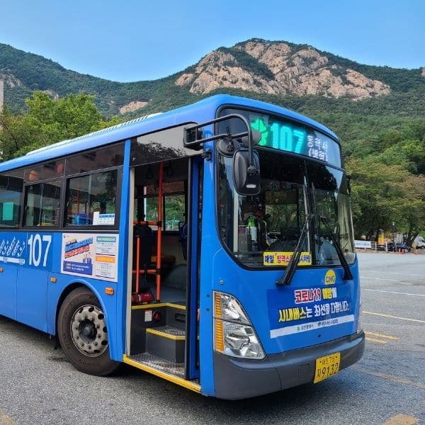 Korea's T-Money Card: The Ultimate Guide 2024 19 Korean blue bus