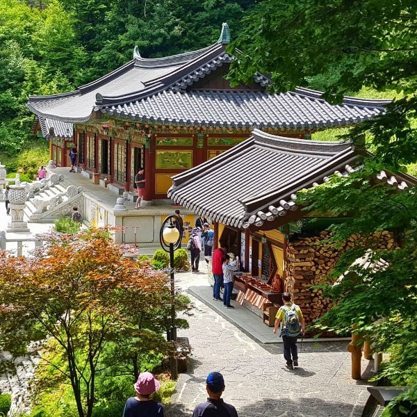 Do A Temple Stay In Korea For An Amazing Experience In 2024 6 Korean Buddhist temple in Odaesan