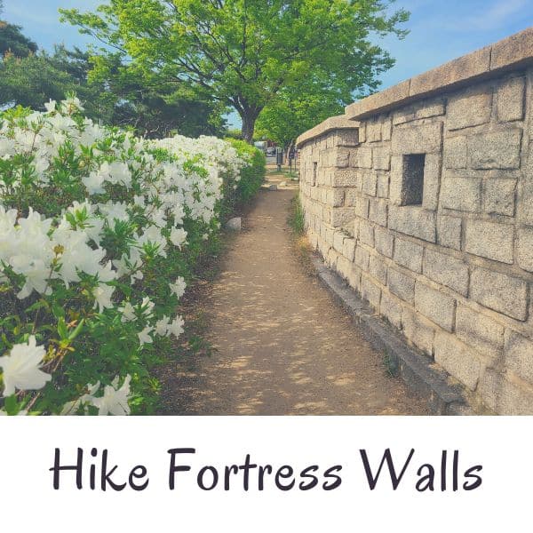 Complete South Korea Travel Guide 2024: Korean Travel Tips 92 Korean fortress walls with white plants