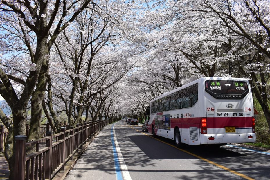 Hiking Seoraksan National Park And How To Get There 2024 9 Korean intercity bus