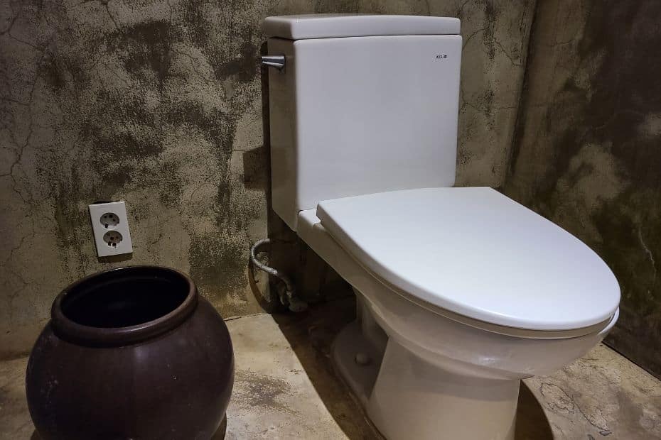 Korean Public Toilets: What Are Restrooms In Korea Like? 24 Korean toilet with a metal bin