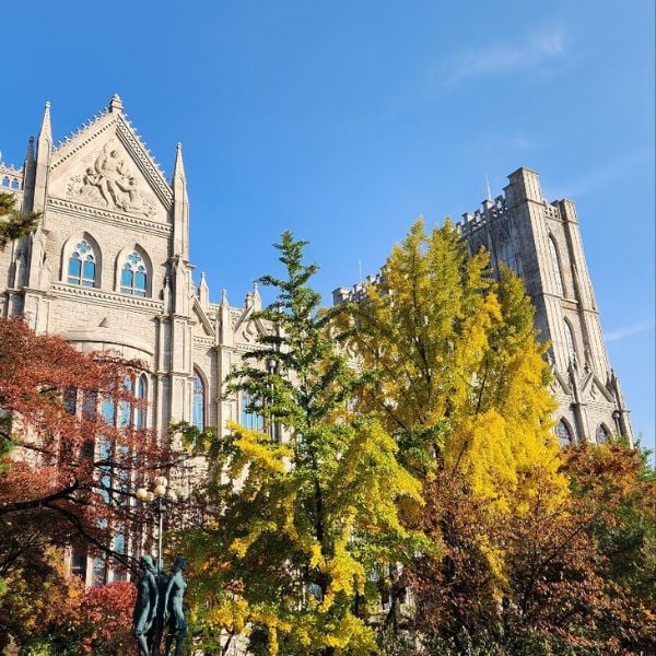 Kyung Hee University With Autumn Foliage Seoul Kyung Hee University With Autumn Foliage Seoul