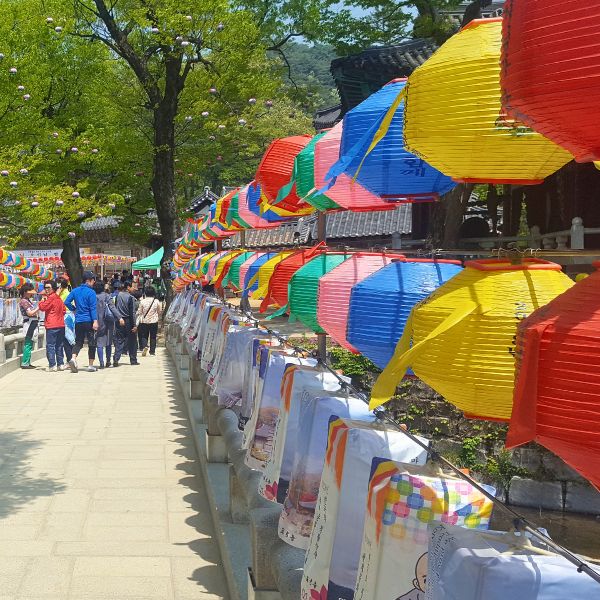 Do A Temple Stay In Korea For An Amazing Experience In 2024 17 Lanterns on display at Magoksa Temple