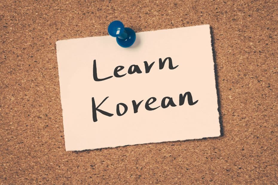 Move to Korea To Teach English: 8 Tips To Help You Settle Into Korea 4 Learn Korean to move to Korea