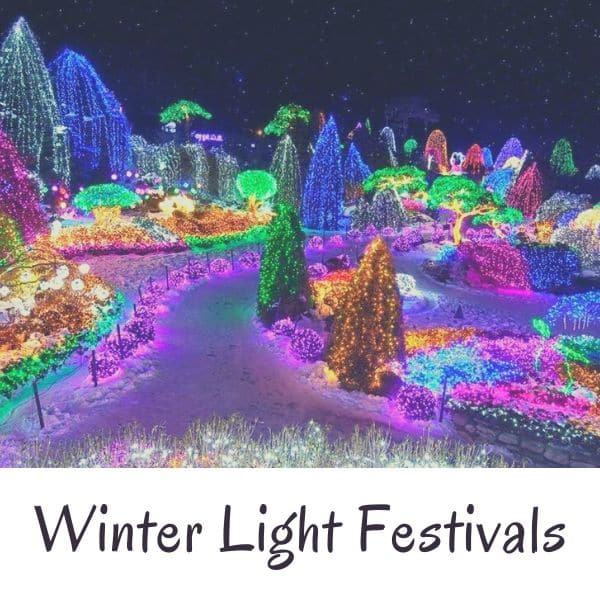 Complete South Korea Travel Guide 2024: Korean Travel Tips 100 Light Festival In Korea