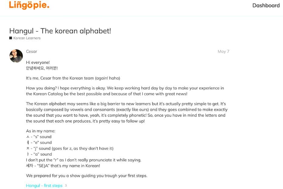Lingopie Review: Can Lingopie Teach Korean With K-Dramas? 13 Lingopie Korean Language Forum