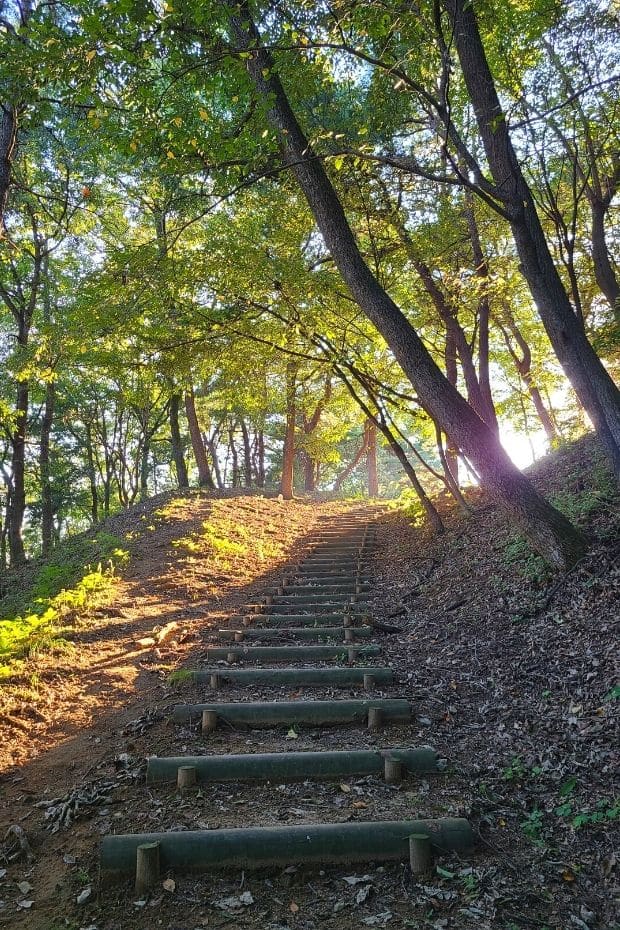 10 Things To Do In Buyeo 2024: UNESCO World Heritage City 14 Pathway inside Busosanseong Fortress, Buyeo