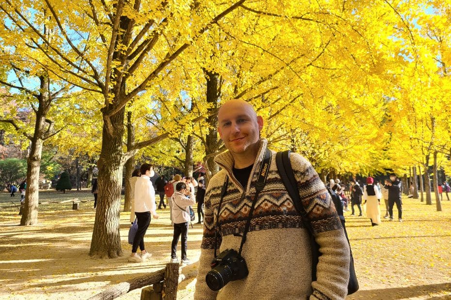 Complete South Korea Travel Guide 2024: Korean Travel Tips 121 Man with ginkgo trees at Nami Island