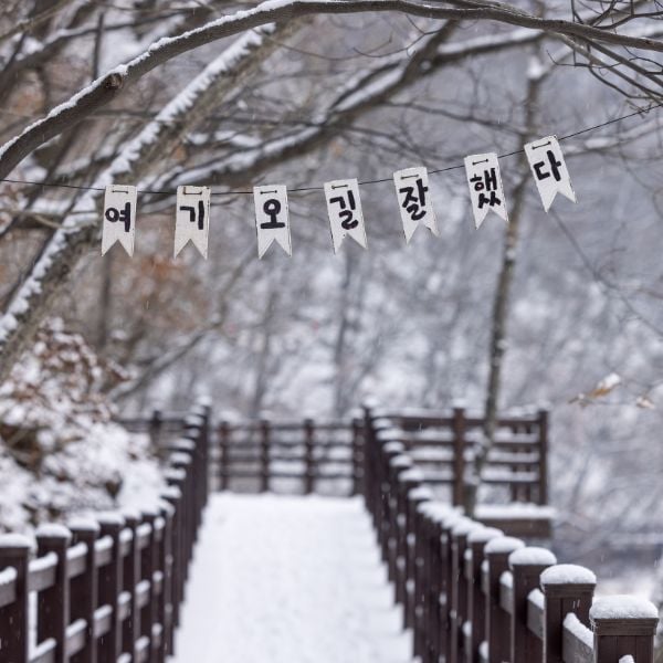 Is The Chilgapsan Ice Fountain Festival 2024 Worth Visiting? 15 Message in Korean in snowy scene