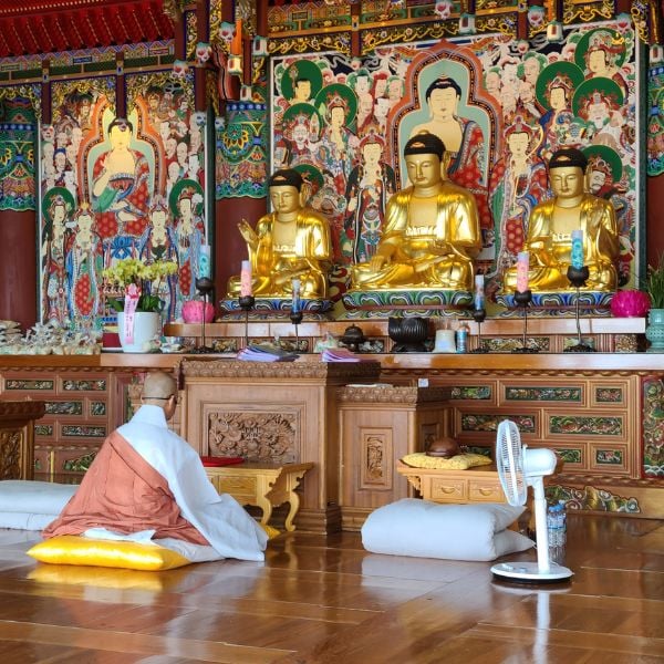 Do A Temple Stay In Korea For An Amazing Experience In 2024 19 Monk praying inside a Korean Buddhist Temple