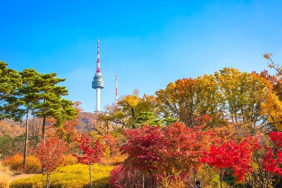 Discover Seoul Pass Itineraries That Save You Money 2024 5 N Seoul Tower In Seoul During Autumn