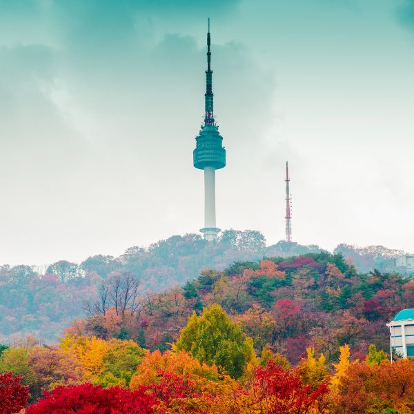 N Seoul Tower With Autumn Foliage Seoul N Seoul Tower With Autumn Foliage Seoul