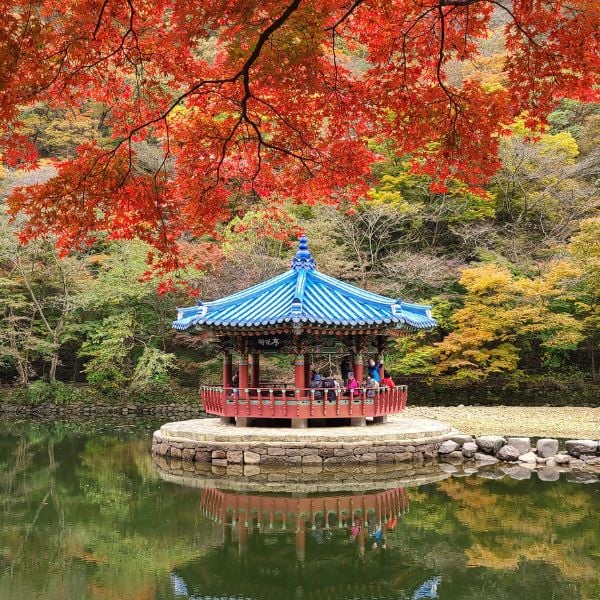 Naejangsan National Park Autumn Leaves Naejangsan National Park Autumn Leaves