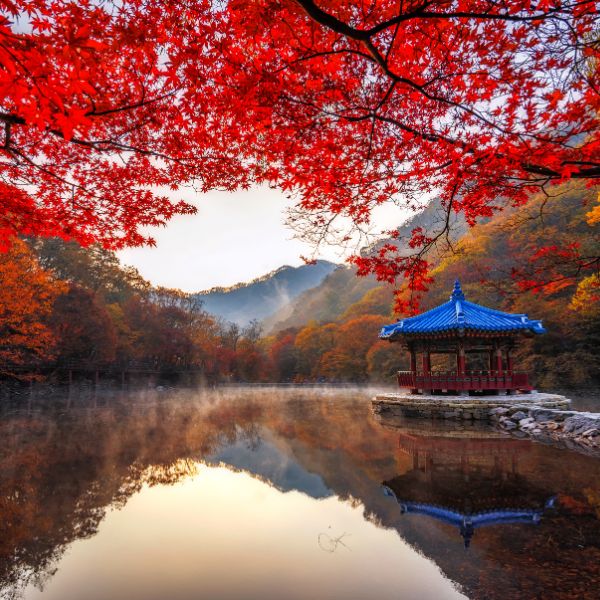 Naejangsan National Park in Autumn Korea Naejangsan National Park in Autumn Korea