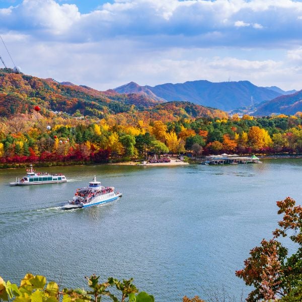 Nami Island In Autumn Nami Island In Autumn